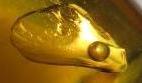 All natural Baltic amber with water and air